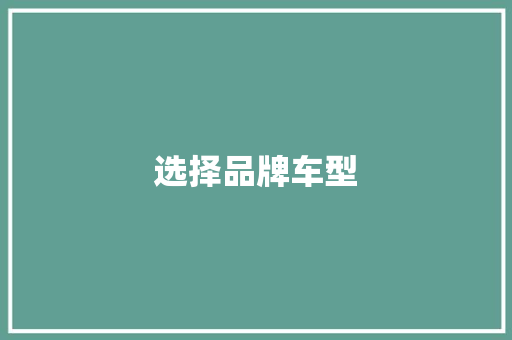 选择品牌车型