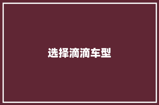 选择滴滴车型