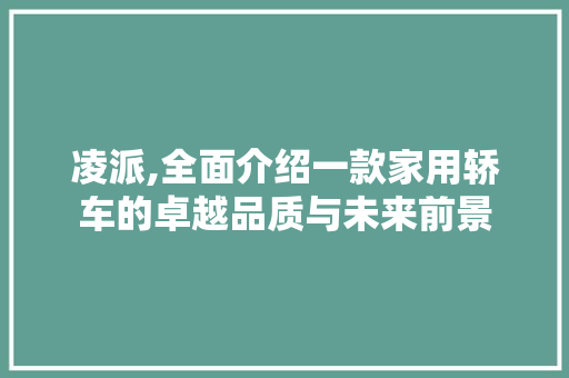 凌派,全面介绍一款家用轿车的卓越品质与未来前景