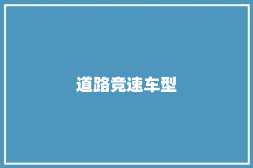 道路竞速车型
