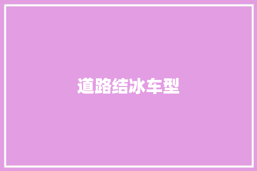 道路结冰车型