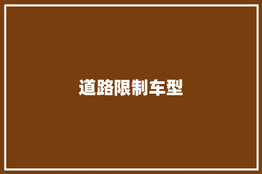 道路限制车型