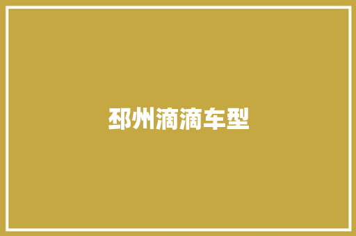邳州滴滴车型