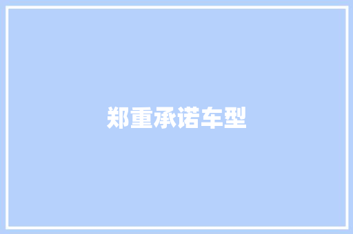 郑重承诺车型