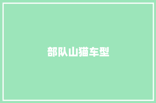 部队山猫车型