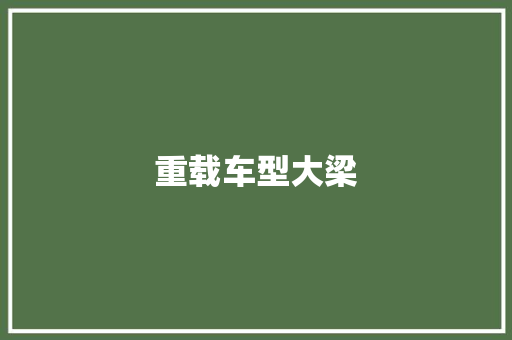 重载车型大梁