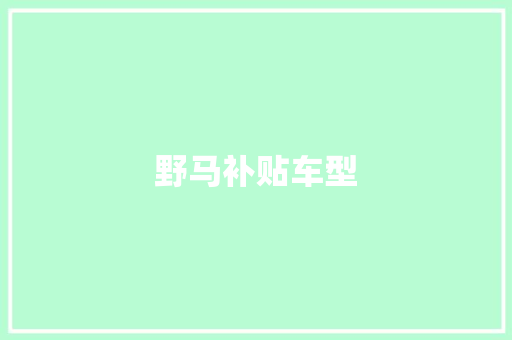野马补贴车型