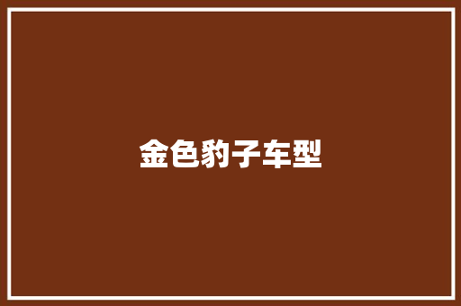金色豹子车型