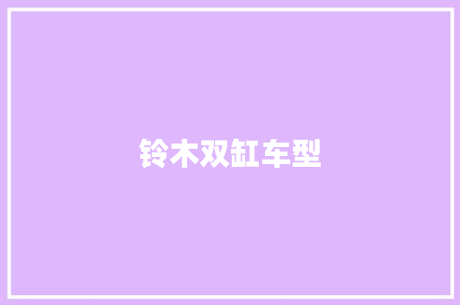 铃木双缸车型