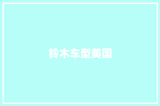 铃木车型美国