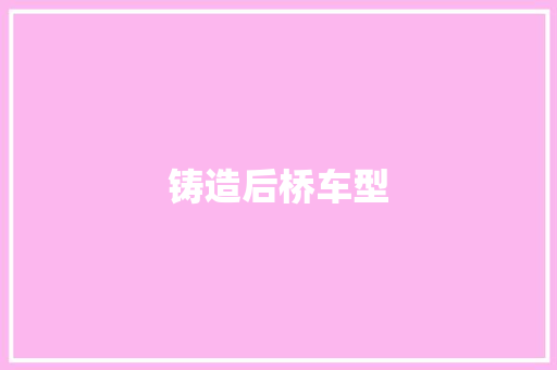 铸造后桥车型