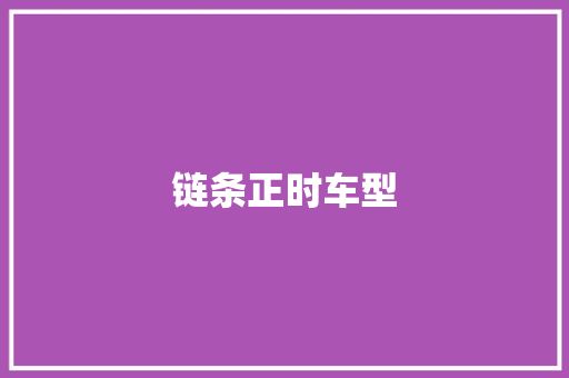 链条正时车型