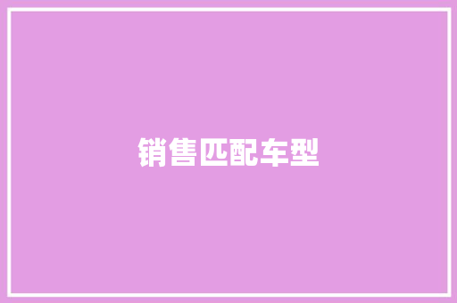 销售匹配车型