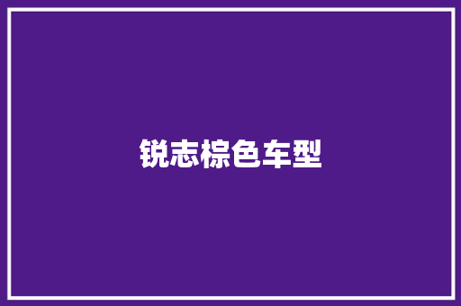 锐志棕色车型
