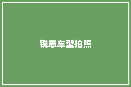 锐志车型拍照