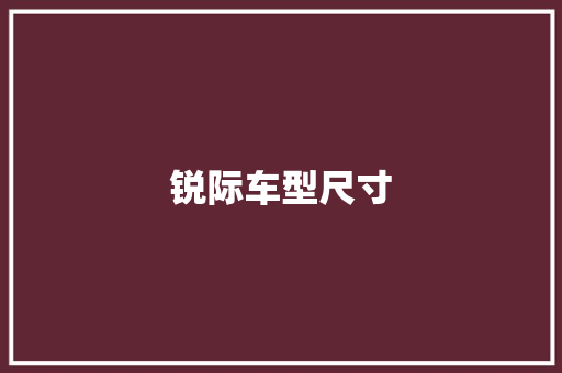 锐际车型尺寸