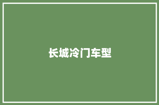 长城冷门车型