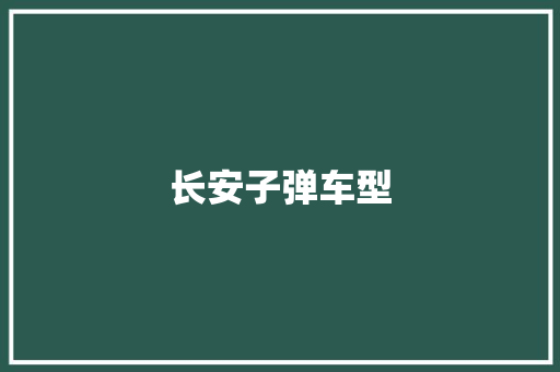 长安子弹车型 蓄电池配件
