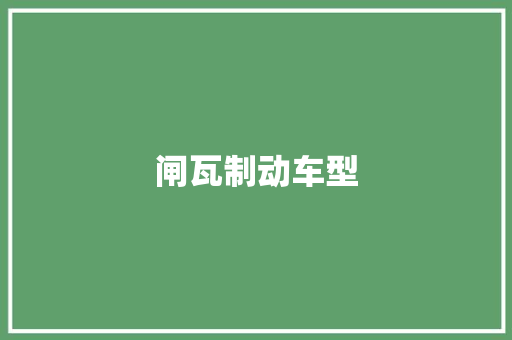 闸瓦制动车型