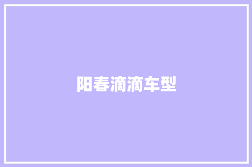 阳春滴滴车型