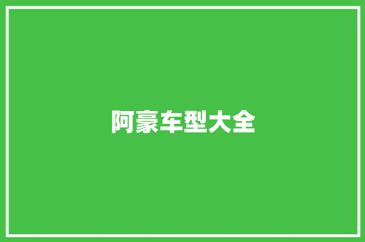 阿豪车型大全