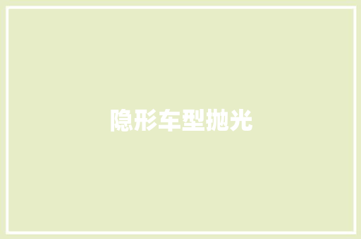 隐形车型抛光