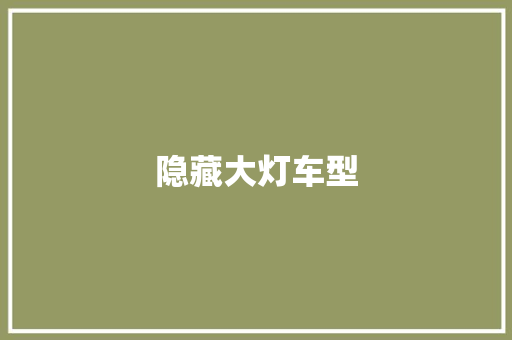 隐藏大灯车型
