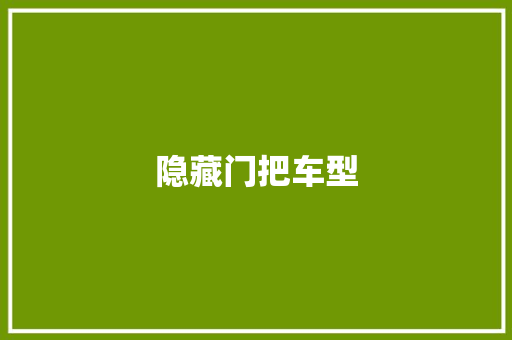 隐藏门把车型