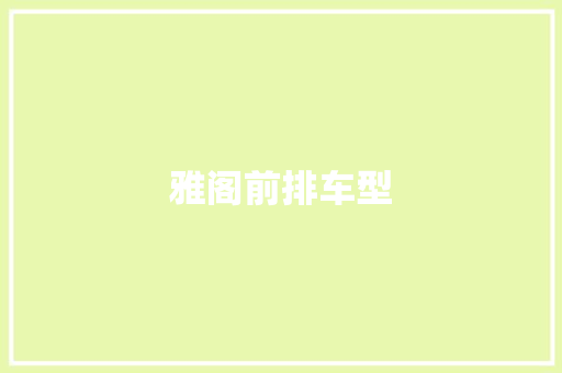 雅阁前排车型