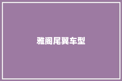 雅阁尾翼车型