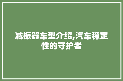 减振器车型介绍,汽车稳定性的守护者