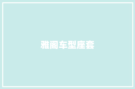 雅阁车型座套