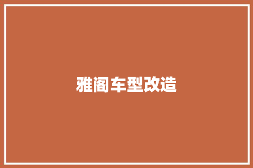 雅阁车型改造