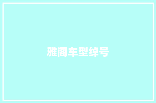 雅阁车型绰号