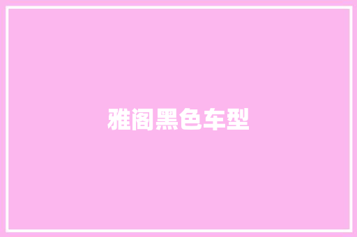 雅阁黑色车型