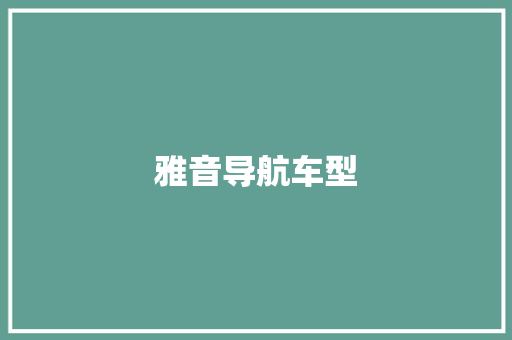 雅音导航车型