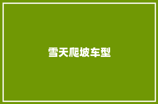 雪天爬坡车型