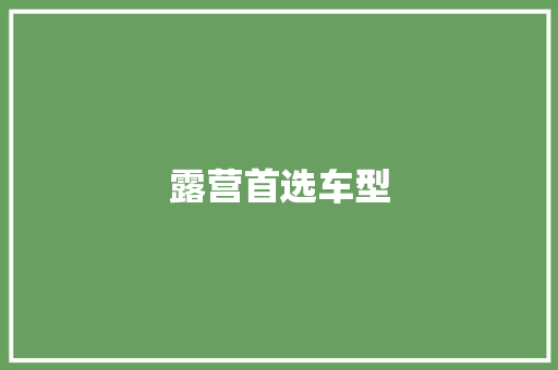 露营首选车型 新能源汽车