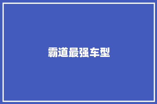 霸道最强车型