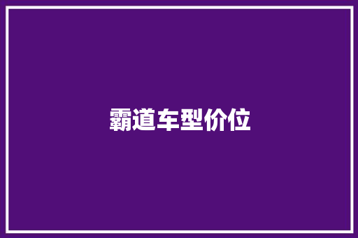 霸道车型价位