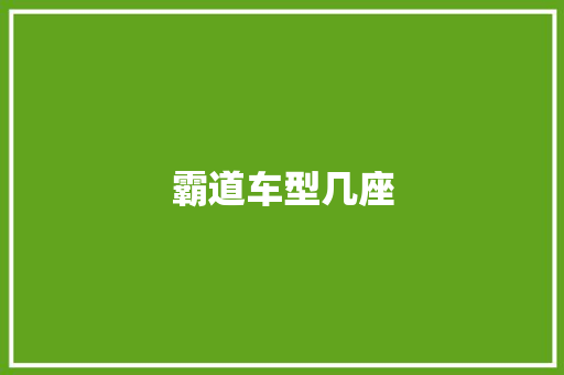 霸道车型几座