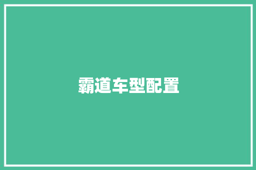 霸道车型配置