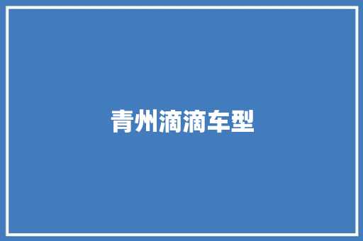 青州滴滴车型