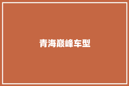 青海巅峰车型
