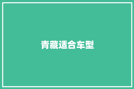 青藏适合车型