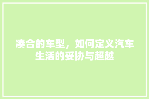 凑合的车型，如何定义汽车生活的妥协与超越