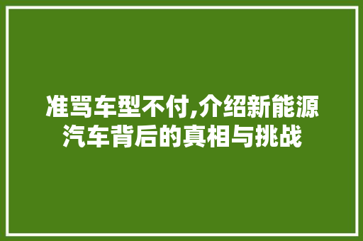 准骂车型不付,介绍新能源汽车背后的真相与挑战