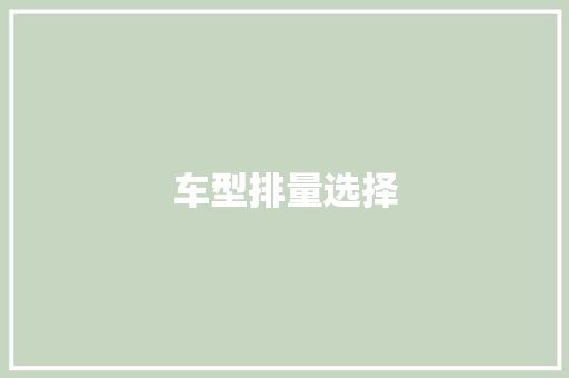 车型排量选择