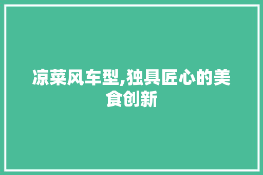 凉菜风车型,独具匠心的美食创新