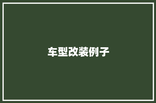 车型改装例子